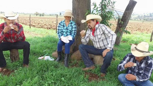 Ahí viene el toro - Rodeo Tierra Caliente 10 ganaderías en NY
