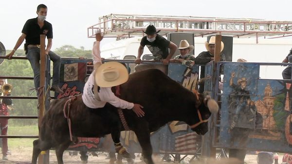 Ahí viene el toro - Rancho Los Aventureros en Charo