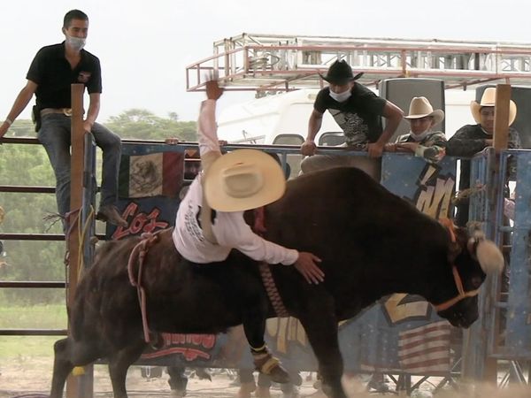 Ahí viene el toro - Rancho Los Aventureros en Charo