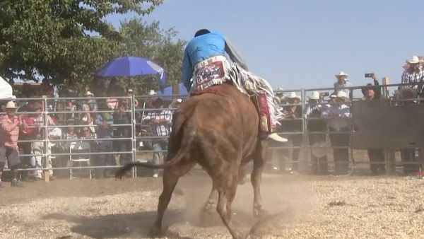 Ahí viene el toro - Rancho Las Cubatas Vs. Rancho El Farallón en El Relicario.