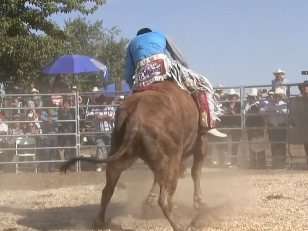 Ahí viene el toro - Rancho Las Cubatas Vs. Rancho El Farallón en El Relicario.