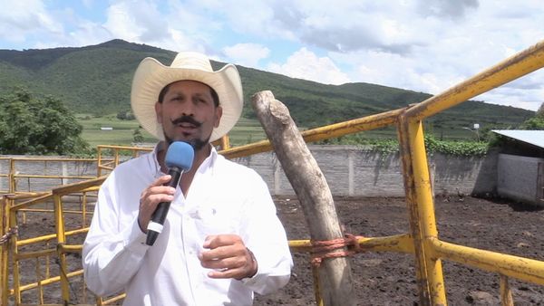 Ahí viene el toro - 20 Ganaderías En El Relicario