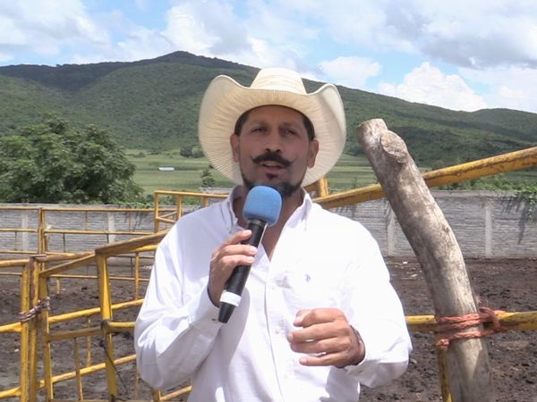 Ahí viene el toro - 20 Ganaderías En El Relicario