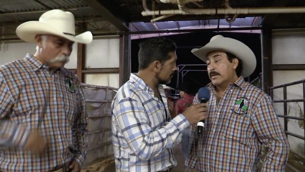 Ahí viene el toro - 4 Ganaderías en Delaware