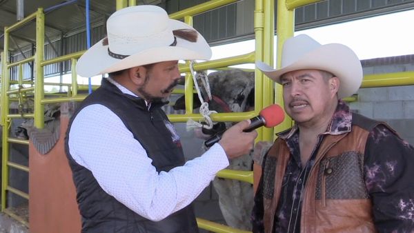 Ahí viene el toro - Rancio Invasores de California, Rancho El Centenario y Rancho Los Destructores en California