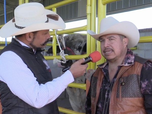 Ahí viene el toro - Rancio Invasores de California, Rancho El Centenario y Rancho Los Destructores en California