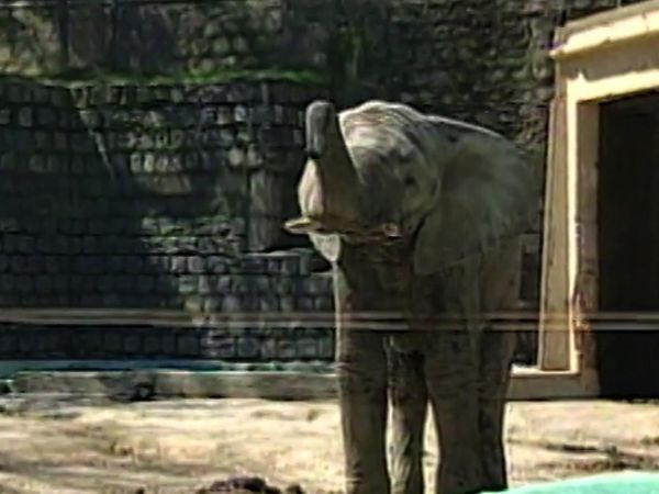 Now See This - Episode 1