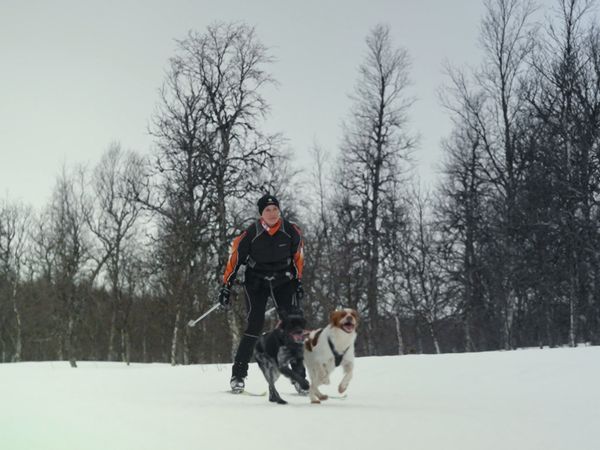 Högspänning - Avsnitt 609