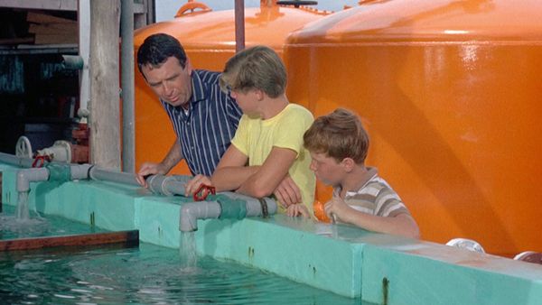 Flipper - Flipper unter Verdacht