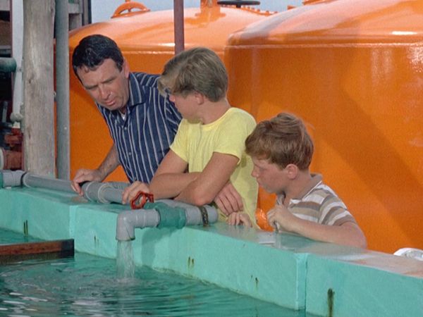 Flipper - Flipper unter Verdacht