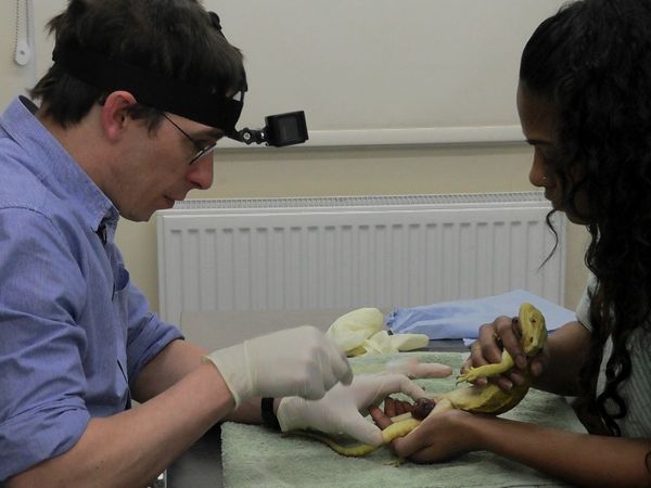 Inside The Vets - Ted