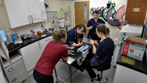 Inside The Vets - Lola