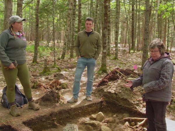 The Curse of Oak Island - Shear Mystery
