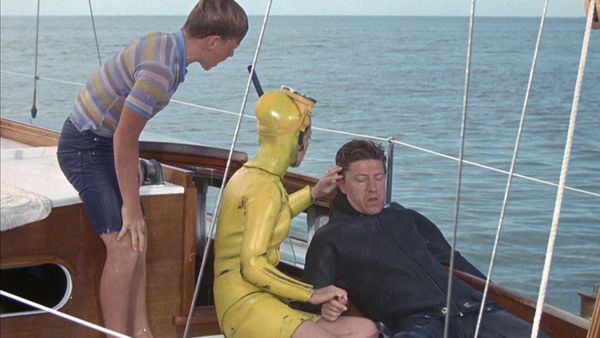Flipper - Flipper als Lotse