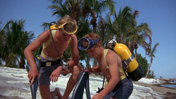 Flipper - Flipper alarmiert seine Truppe