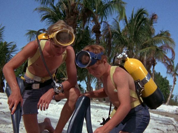 Flipper - Flipper alarmiert seine Truppe