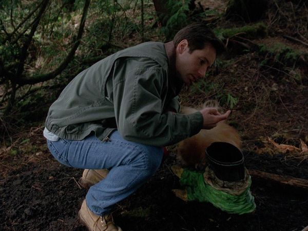 The X-Files - Quagmire