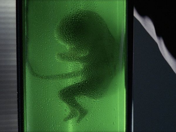 The X-Files - Emily