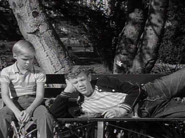Dennis the Menace - The Big Basketball Game