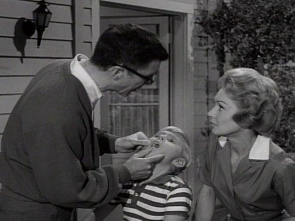 Dennis the Menace - Wilson's Little White Lie
