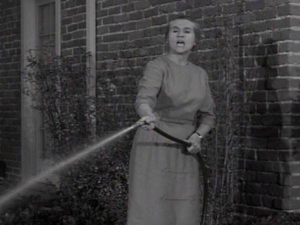 Dennis the Menace - A Tax On Cats