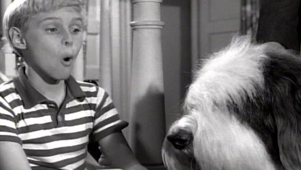 Dennis the Menace - The Lost Dog