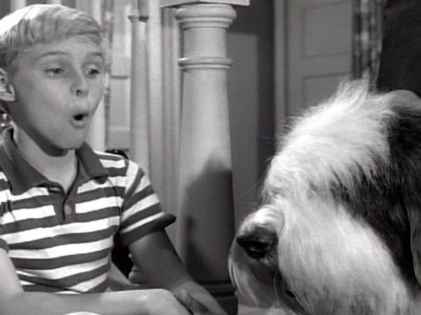 Dennis the Menace - The Lost Dog