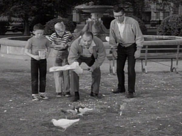 Dennis the Menace - Dennis And The Homing Pigeons