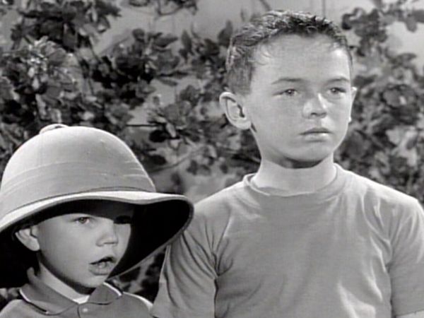 Dennis the Menace - My Four Boys