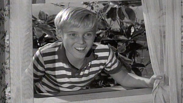 Dennis the Menace - Wilson's Allergy