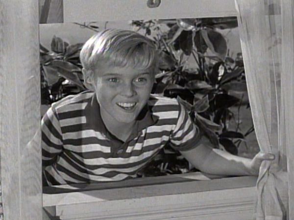 Dennis the Menace - Wilson's Allergy
