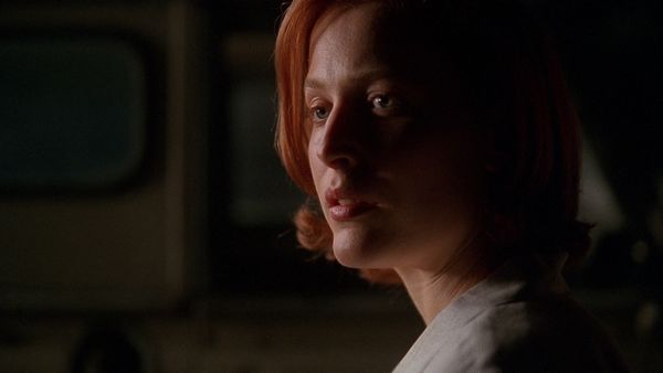 The X-Files - The Sixth Extinction
