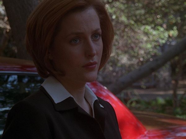 The X-Files - En Ami