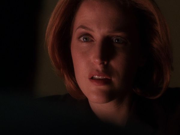 The X-Files - Surekill