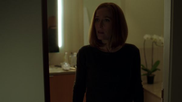 The X-Files - Rm9sbG93ZXJz