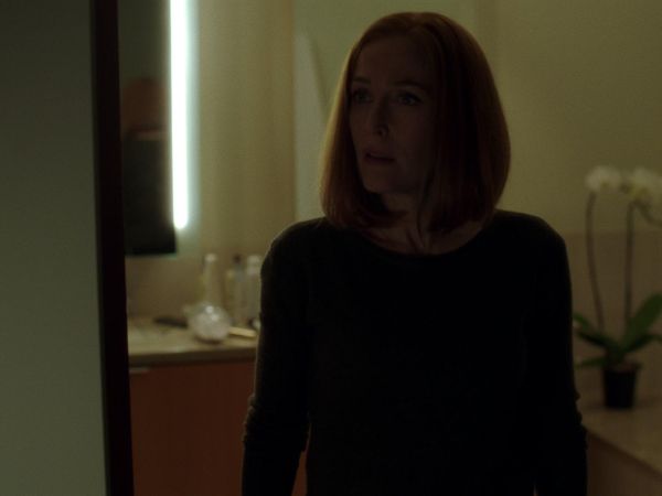 The X-Files - Rm9sbG93ZXJz