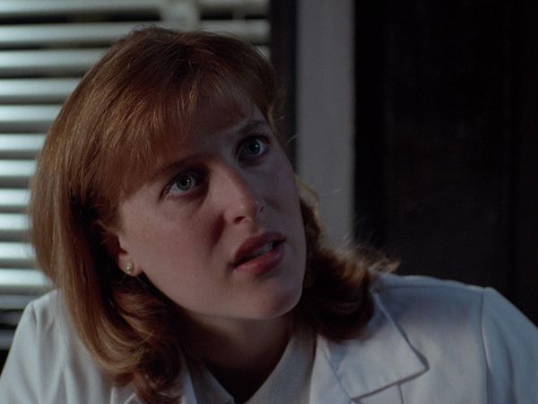 The X-Files - The Host