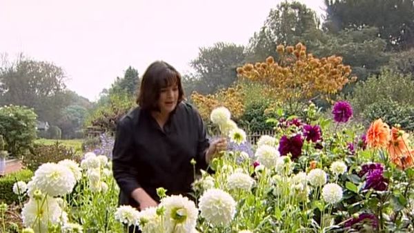 Barefoot Contessa - Fireside Dinner