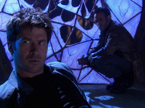 Stargate Atlantis - Bienenstock