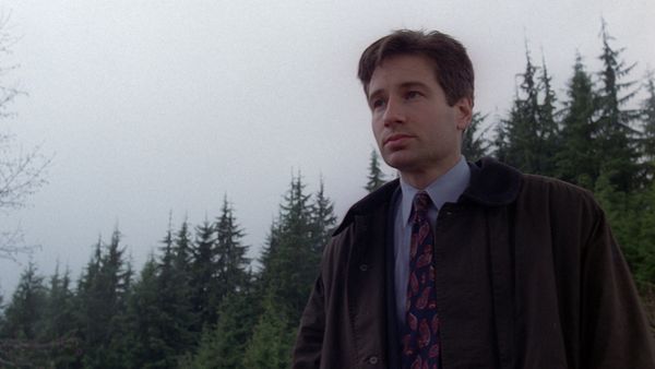 The X-Files - Shapes