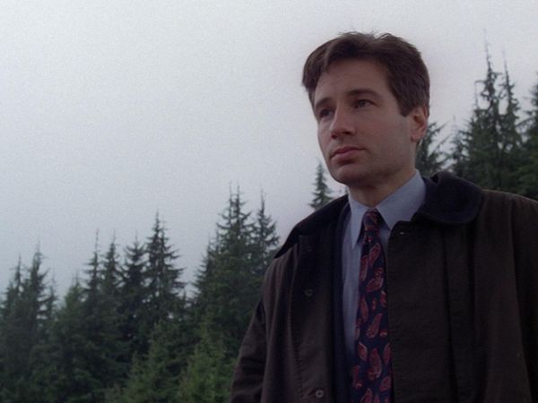 The X-Files - Shapes