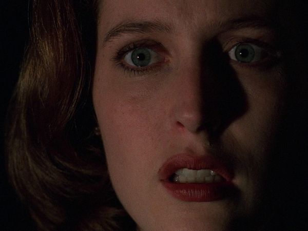The X-Files - Grotesque