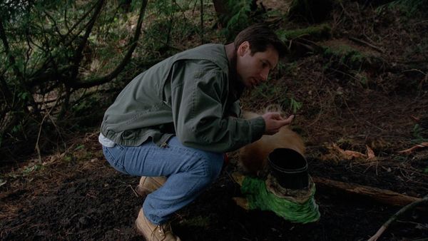 The X-Files - Quagmire