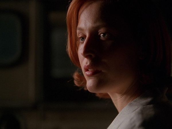The X-Files - The Sixth Extinction