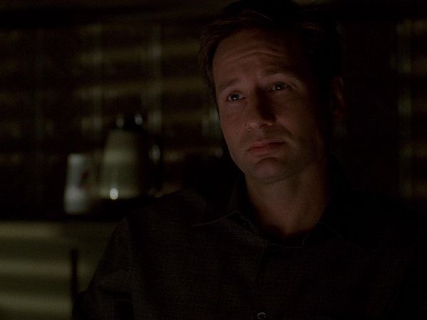 The X-Files - Signs & Wonders