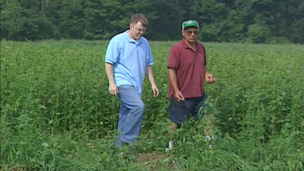 FoodNation With Bobby Flay - Berkshires