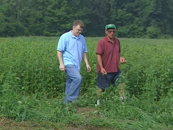 FoodNation With Bobby Flay - Berkshires