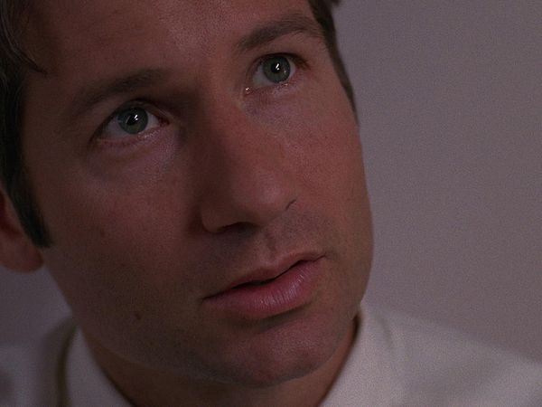 The X-Files - Redux II