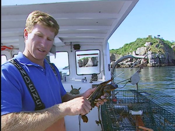 FoodNation With Bobby Flay - Maine Lobster