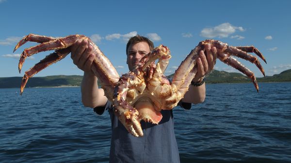 Conquerors - The Giant Crab of Kamtchatka